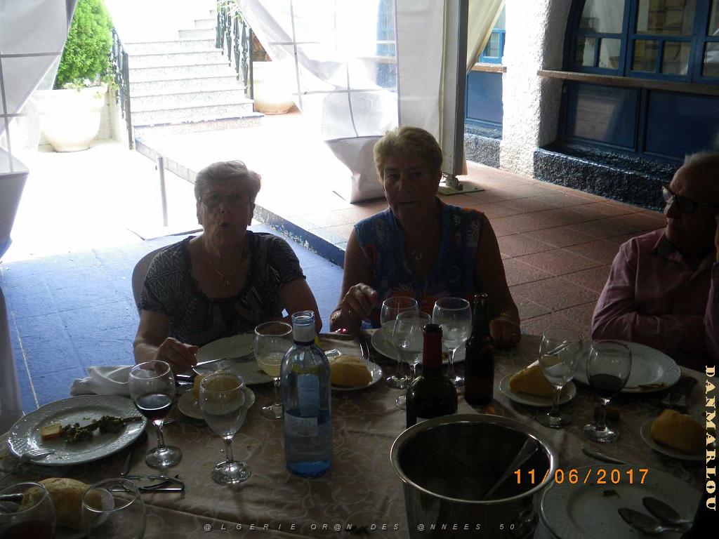 3 dalias 2 (11).JPG